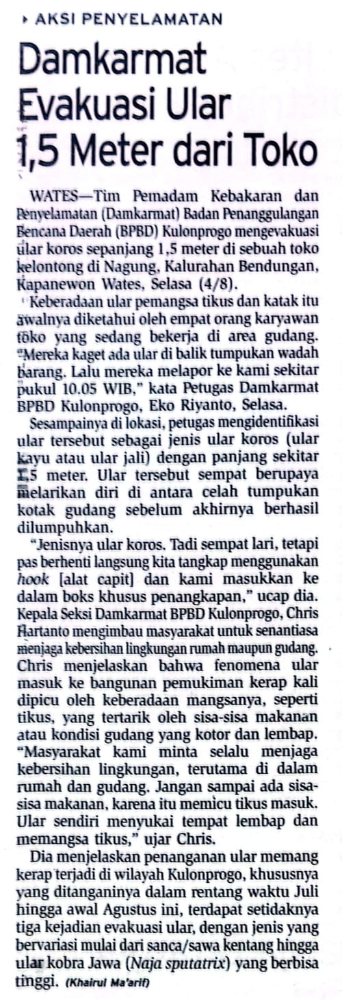 Konten Berita