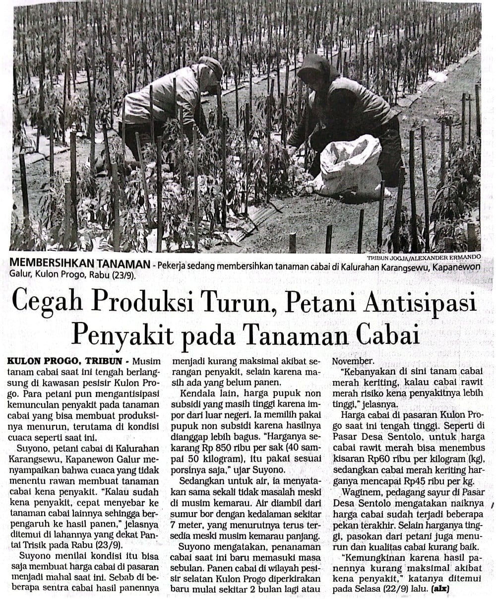 Konten Berita