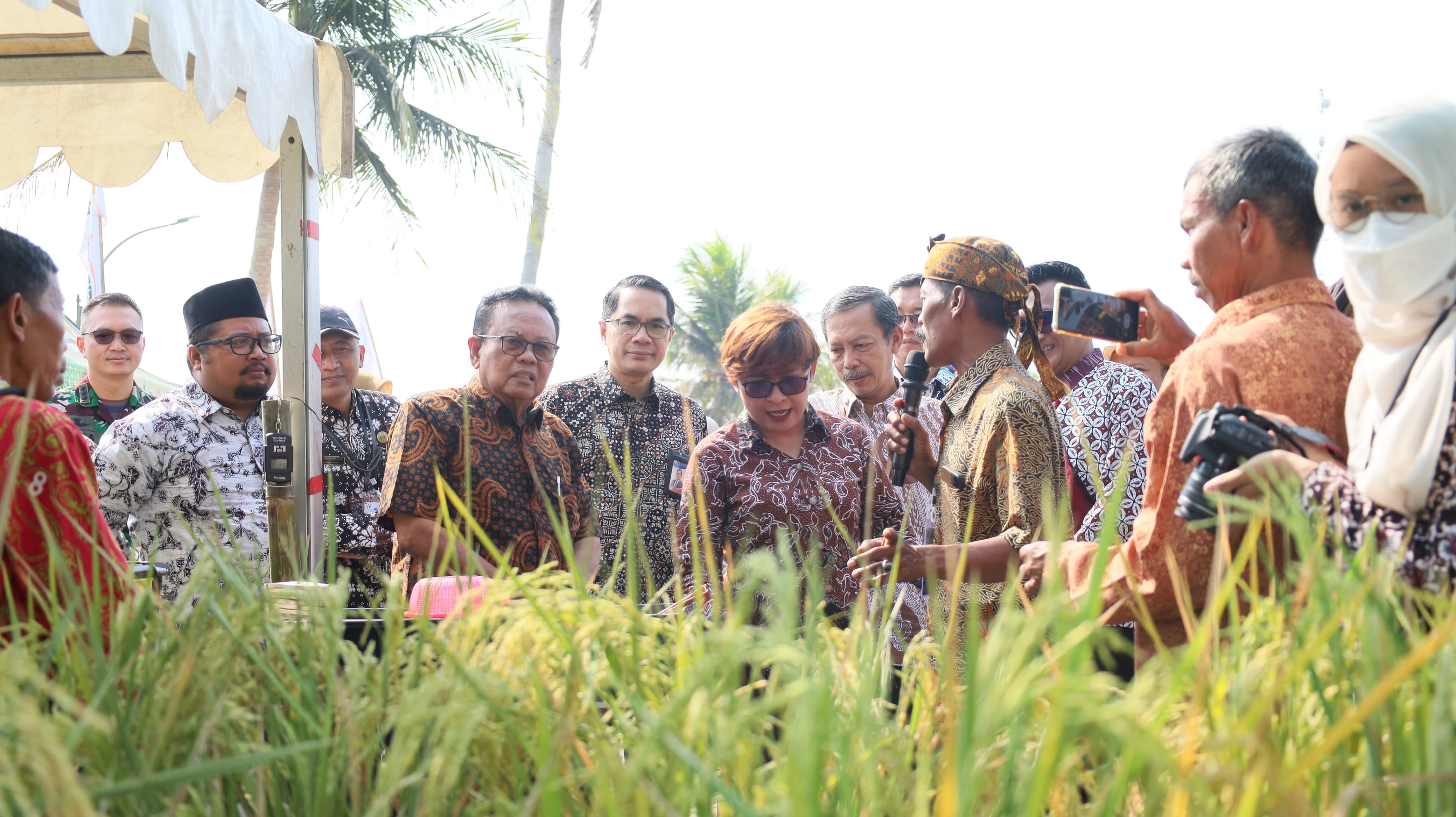 Image Berita